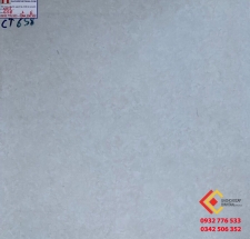 ĐÁ BÓNG KIẾNG 60X60 Á MỸ 658