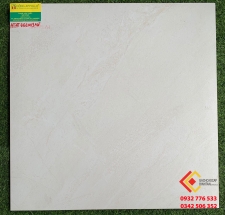 ĐÁ MỜ 60X60 VIGLACERA 662009
