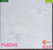 GẠCH BÓNG KÍNH 60X60 HOÀN MỸ PE6045