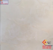 Gạch Bóng Kiếng 60x60 Hãng TTC 66004