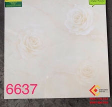 Gạch Bóng Kính 60X60 TASA 6637