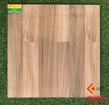 Gạch Bóng Kiếng 60x60 Toco 6529