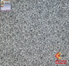 Gạch Men Bóng NaNo 60x60 Toroma 61903