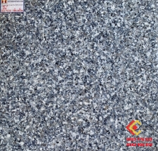 Gạch Bóng Kiếng Phủ Nano 60x60 Đônami 601