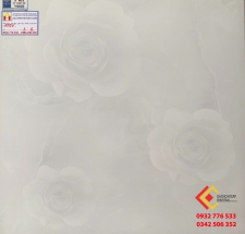 ĐÁ BÓNG KIẾNG 60X60 Ý MỸ 6020 NANO