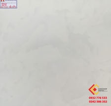 Gạch bóng kiếng 60x60 Vecta-tc 6648