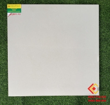 ĐÁ BÓNG KIẾNG 60X60 RRIME 1639664