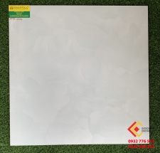 Gạch Bóng Kiếng 60x60 Giá rẻ 6504