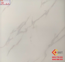 ĐÁ BÓNG KIẾNG 60X60 Ý MỸ 602 NANO