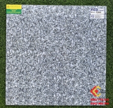 Gạch bóng kiếng 60x60 Fico PH602