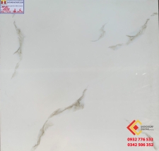 ĐÁ BÓNG KIẾNG 60X60 RRIME 12028