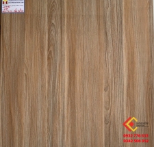 ĐÁ BÓNG KIẾNG 60X60 Á MỸ 689