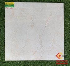Gạch Bóng Kiếng 60x60 Toco 6801