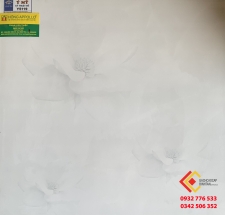 Gạch Lát Nền 50X50 Ý MỸ Y5119