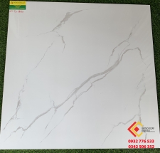 Gạch Bóng Kiếng 80x80 Tasa Satino 8051