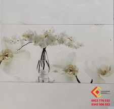 Gạch Ốp Tường 30X60 Hoàng Gia 4105