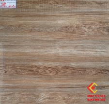 ĐÁ BÓNG KIẾNG 60X60 MIKADO 6909