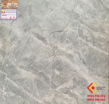 ĐÁ BÓNG KIẾNG MỜ 60X60 Ý MỸ 65011