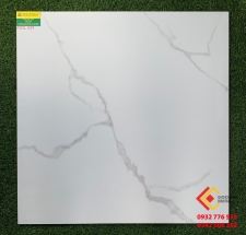 ĐÁ BÓNG KÍNH 80X80 CATALAN 8058