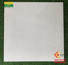 Gạch Bóng Kiếng 60x60 Tasa Satino 6501