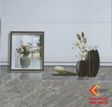 Gạch Ốp Tường 30X60 CMC 9211