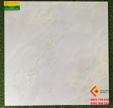 Gạch Bóng Kính 60X60 TASA 6717