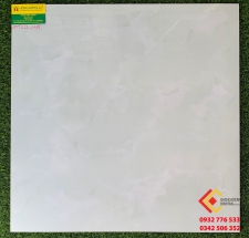 Gạch Bóng Kính 60X60 TASA 6719