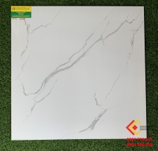 Gạch Bóng Kiếng 60x60 Giá rẻ 6503