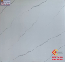 ĐÁ BÓNG KIẾNG 60X60 Á MỸ 6901