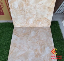 ĐÁ BÓNG KIẾNG 60X60 Á MỸ (2)