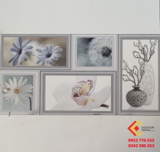 Gạch Ốp Tường 30X60 Hoàng Gia 3682