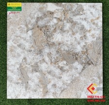 ĐÁ BÓNG KIẾNG 60X60 RRIME 1639020