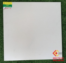 ĐÁ BÓNG KIẾNG 60X60 RRIME 1799750