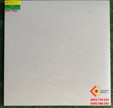 GẠCH ĐÁ MỜ 60X60 BẠCH MÃ  M6011