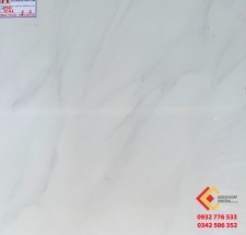 ĐÁ BÓNG KIẾNG 60X60 RRIME 7041