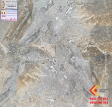 ĐÁ BÓNG KIẾNG MỜ 60X60 Ý MỸ 65001C