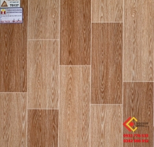 Gạch Men Bóng NaNo 60x60 Toroma 6137