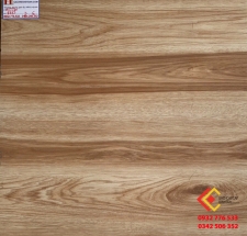 ĐÁ BÓNG KIẾNG 60X60 Á MỸ 6613