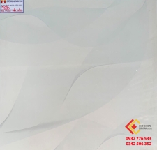 ĐÁ BÓNG KIẾNG 60X60 RRIME 12020