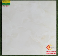 GẠCH BÓNG KÍNH 60X60 THẮNG CƯỜNG 6913