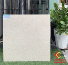 Gạch bóng kiếng 60x60 toàn phần ốp phòng khách sang trọng quý phái