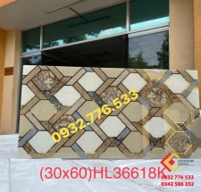 Gạch điểm nhấn 30x60 hàng nhập khẩu TQ bán tại TPHCM