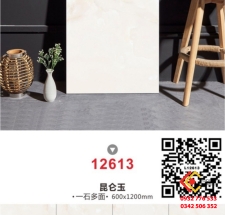 Gạch 60x120 đá bóng kiếng nhập khẩu TQ12613