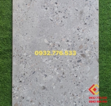 Gạch 60x120 đá mờ vân chấm bi