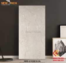 Gạch 60x120 lát nền nhà