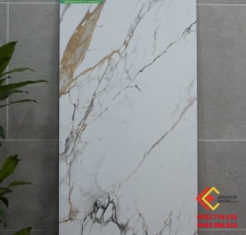 Gạch 60x120 màu trắng vân vàng hàng VN