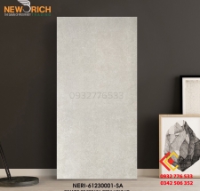 Gạch 60x120 màu xám xi măng