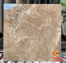 Gạch 60x60 đá bóng kiếng cao cấp toàn phần