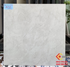 Gạch 60x60 lát nền nhà villa biệt thự