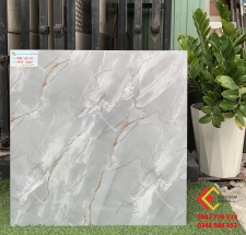 Gạch 60x60 màu sắc đẹp tinh sảo